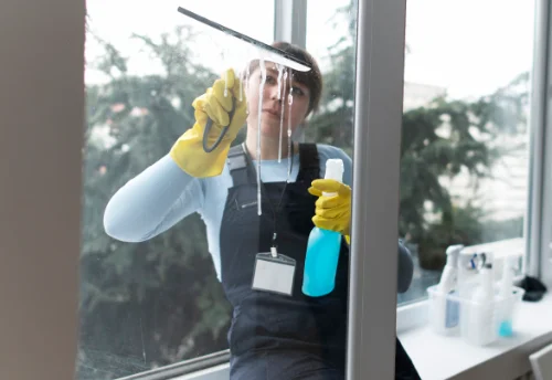 Nettoyage de vitres intérieures et extérieures à Bâgé-le-Châtel